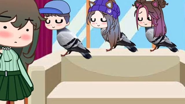 𑁍3 little birds sat on my window~𑁍