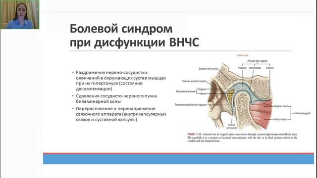 Этиология и патогенез развития дисфункции ВНЧС