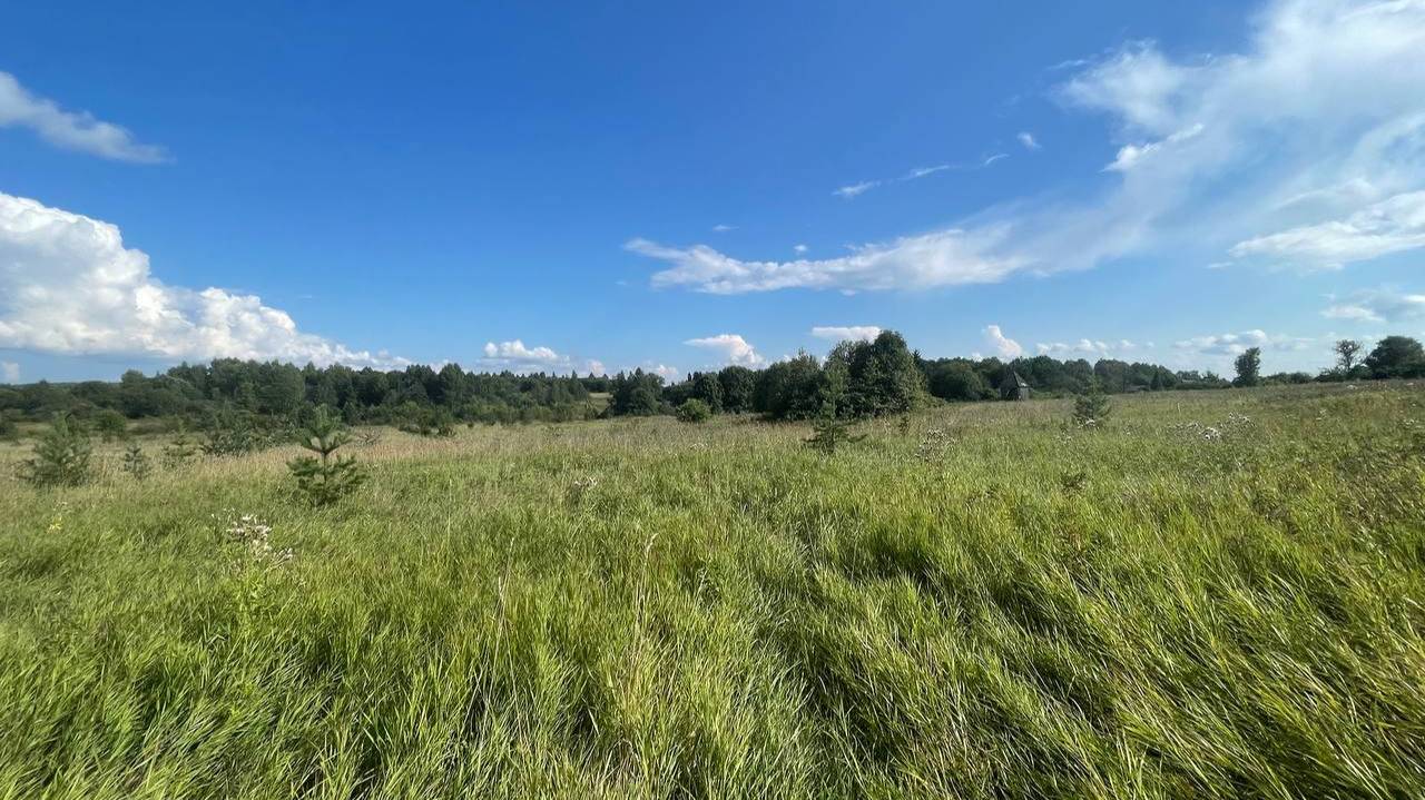 Село Петровское 2 Га ИЖС