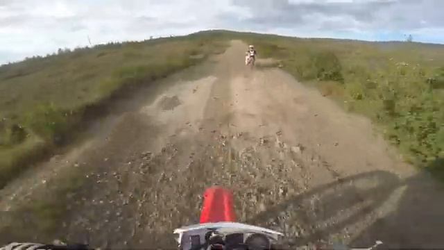 купание оранжевого коней