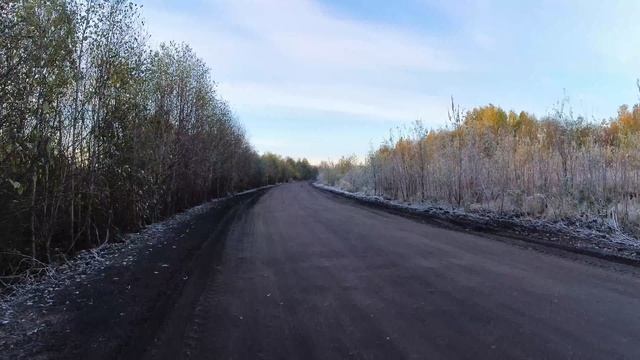 Прогулка по Архангельску. Маймакса. Бревенник от 22го до МЛП по убитой дороге. 09.10.2024