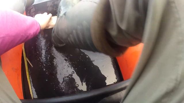 Щука в октябре. Рыбалка с нахлыстом  осенью на реке