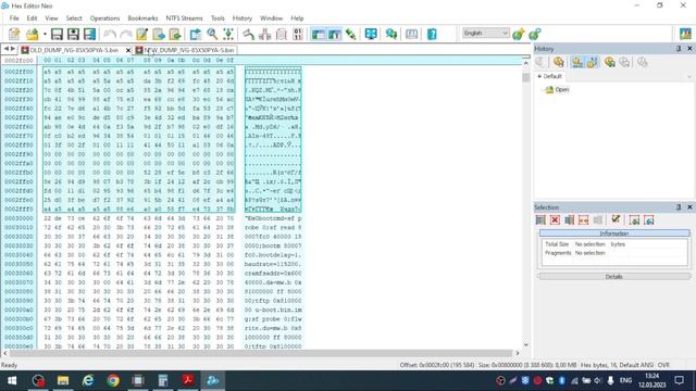 XM Dump file from firmware