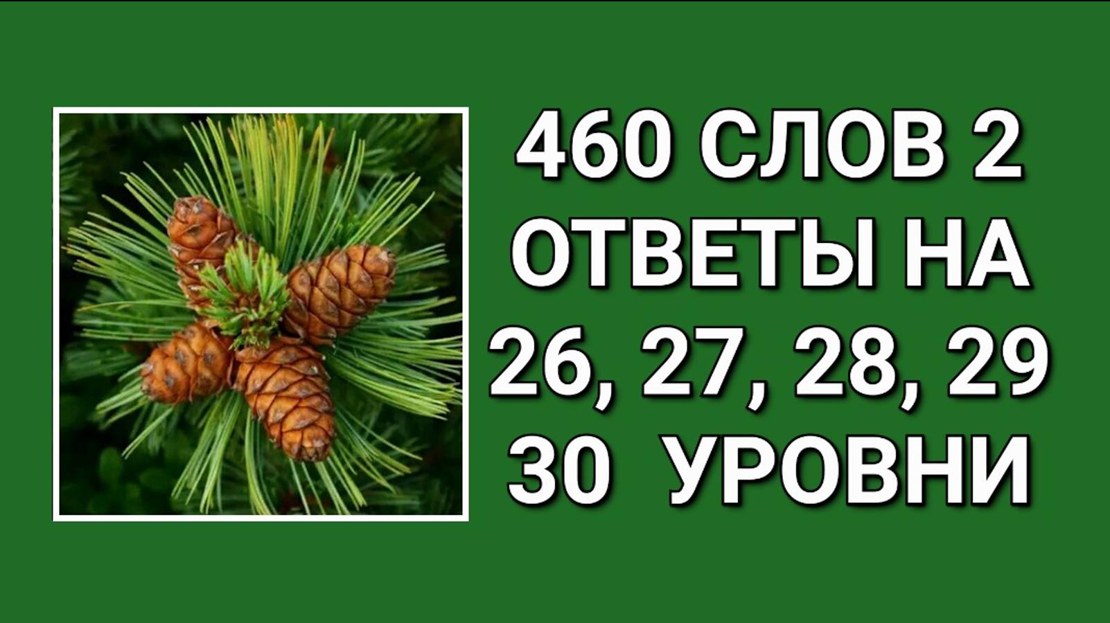 Словесная игра 460 слов 2 ответы на 26, 27, 28, 29, 30 уровни