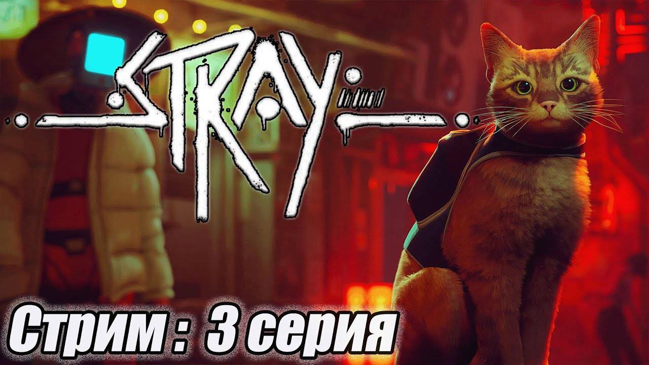 Stray  Стрим 3 #bulldezeer #старинабульдозер #stray  #бульдозеригры