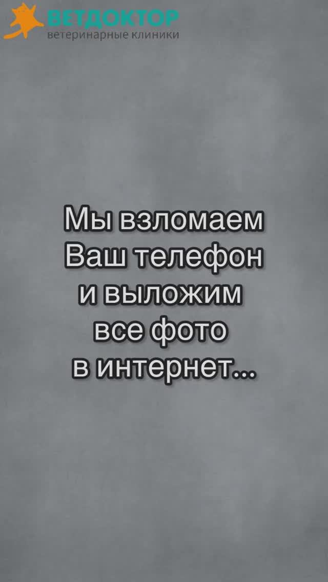 #ветдоктор #ветклиника #юмор