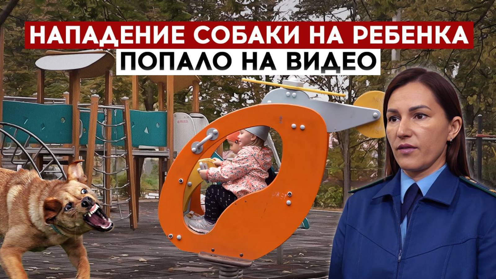 Нападение собаки на ребенка попало на видео