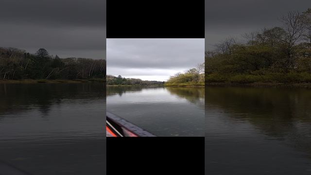 ОСЕНЬ НА РЕКЕ