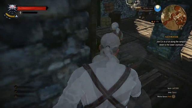 The Witcher 3 - Wild Hunt Gameplay On Intel HD 4000