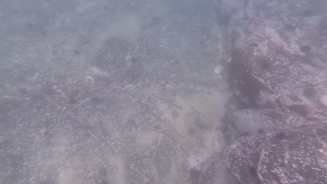 где то в воде