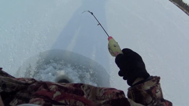 ловим со льда РОТАНА!