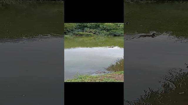 VID20240831114207.mp4
