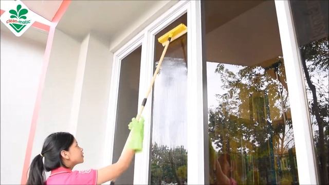 WINDOW SQUEEGEE WITH TELESCOPIC HANDLE