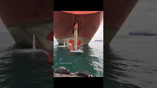 ship propeller seal renewal
