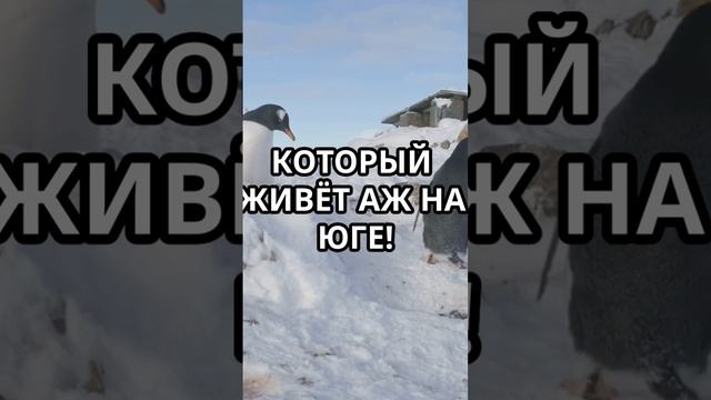 сказка деткам