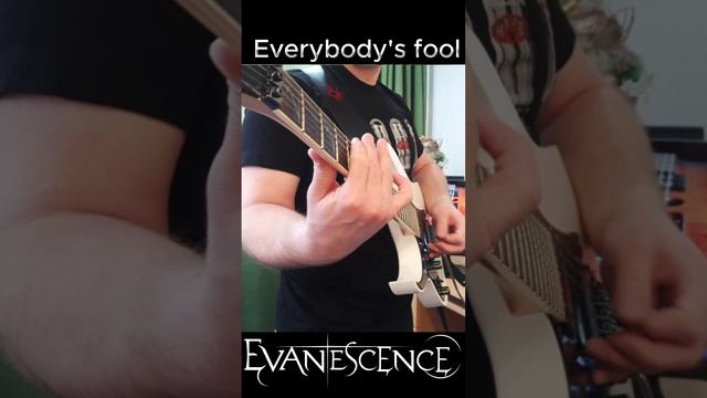 Evanescence - Everybody's Fool(Cover by VL)