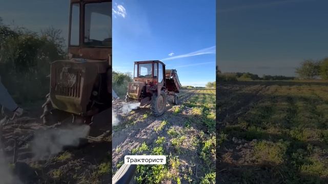 ,подпишись#тракторист #humor #instagram #youtubeshorts #tiktok #семья #приколы #love #comedy