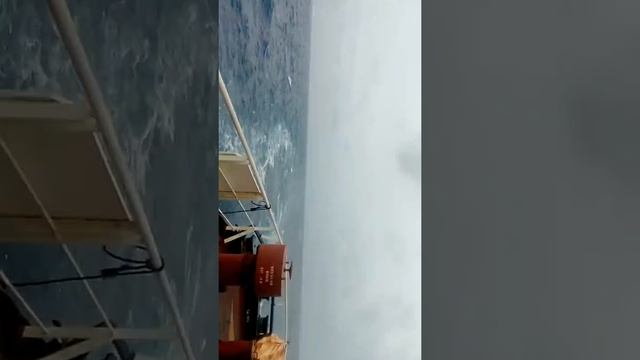 ship propeller wake