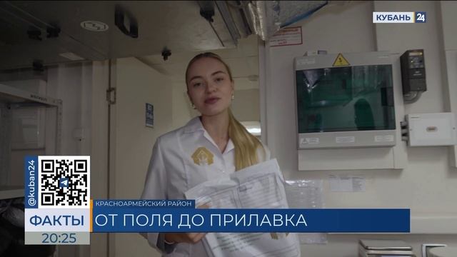 ТВ: Свыше 440 тыс. тонн кубанского подсолнечника нового урожая исследовано в Новороссийском филиале