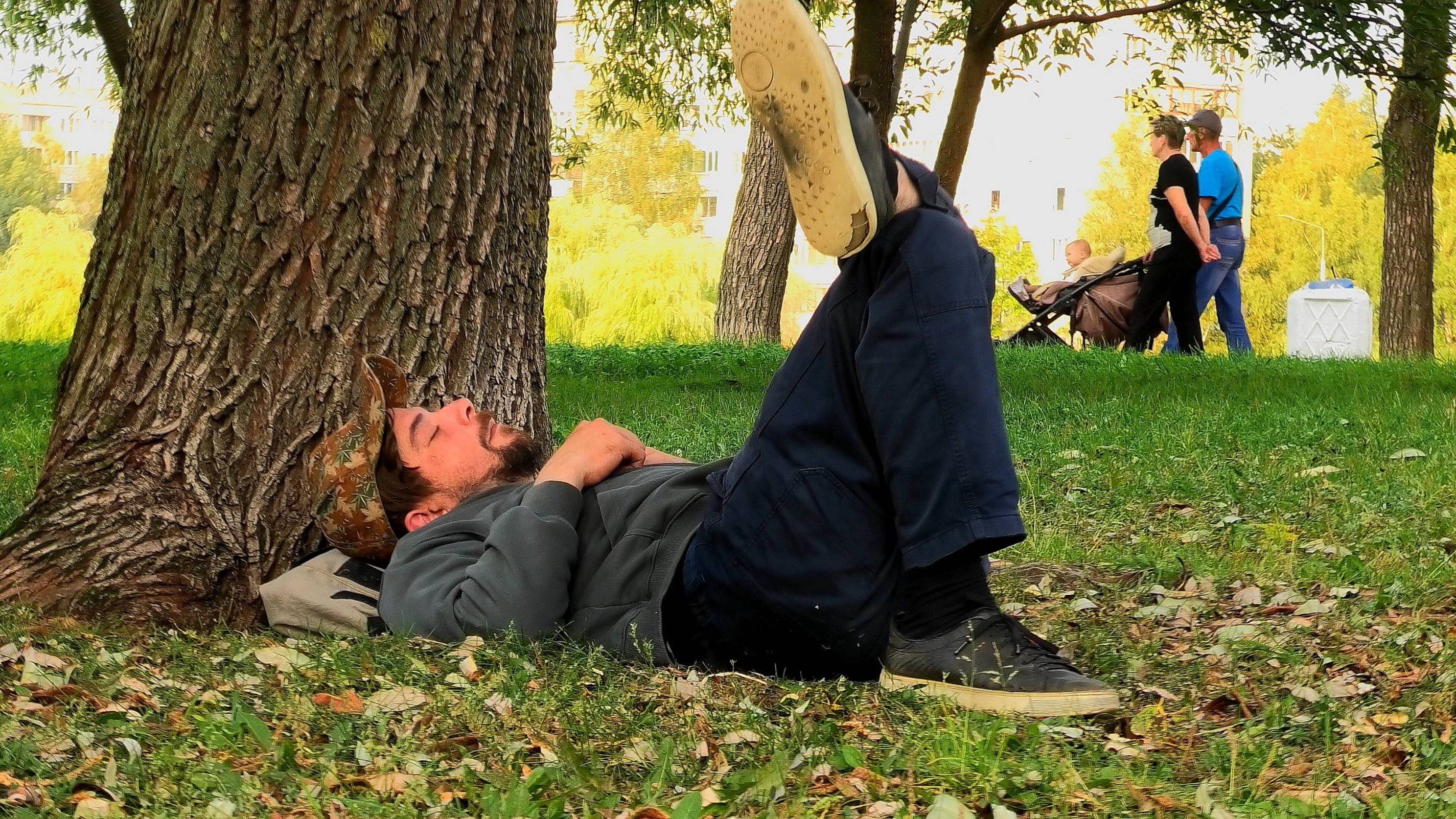 Последние тёплые деньки