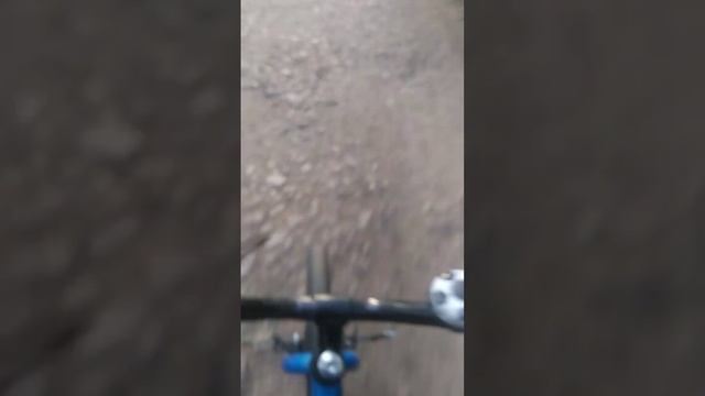 Езда по парку(2 часть) #shorts #парк #езданавелосипеде