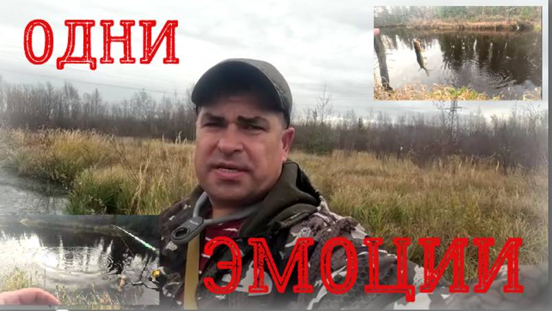 С Хана-Яхи на Гидрик.