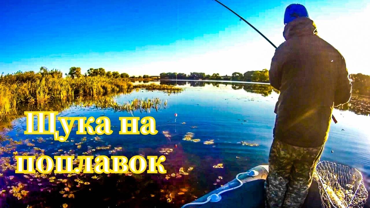 Щука на поплавок. Живец. Рыбалка во Владимире