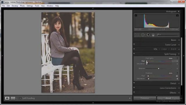 Light room - Быстрый старт. Урок №11. Пример. Тонирование. (Евгений Карташов)