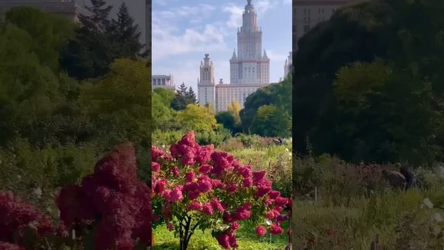 🍁Осенняя Москва прекрасна🍁