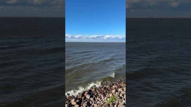 Финский залив