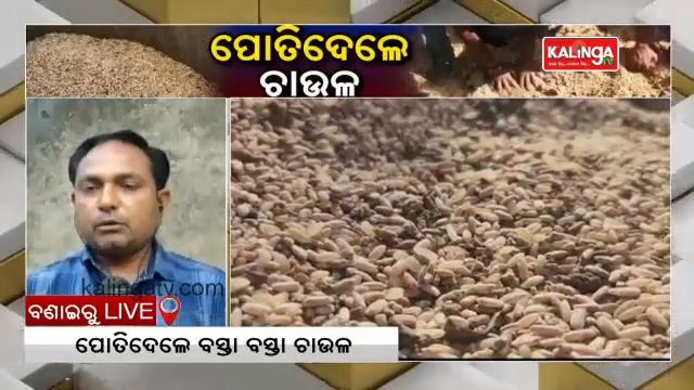 Huge Quantity Of Rice Found Buried Underground On Gram Panchayat Office Premises In Sundergarh