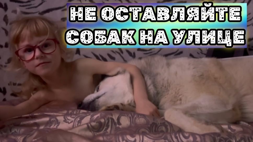 Яна и волкособы Гул'дан и Демон.