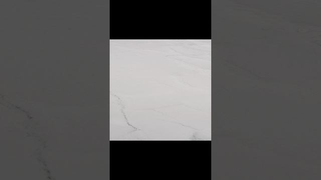 1000016482.mp4