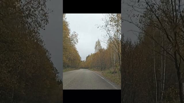 Одна фраза способная изменить все