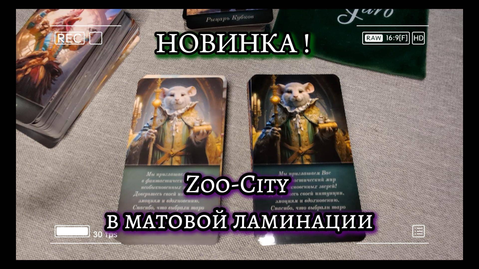 💐🧡🪻💝Прекрасные звери из колоды ZOO-City теперь в благородном матовом покрытии! 💝🪻🧡