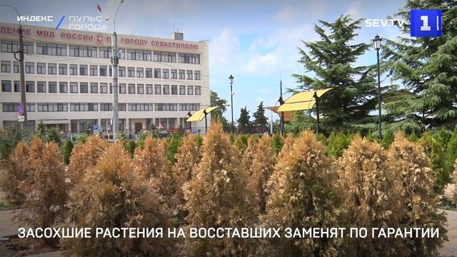 Засохшие растения на Восставших заменят по гарантии