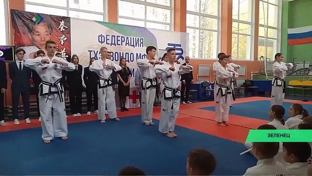 Лучшие тхэквондисты региона собрались на Чемпионат и Первенство Коми