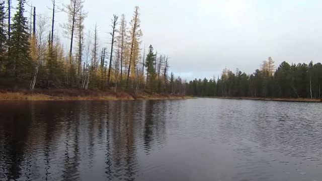 ловим щук 07.10.2024