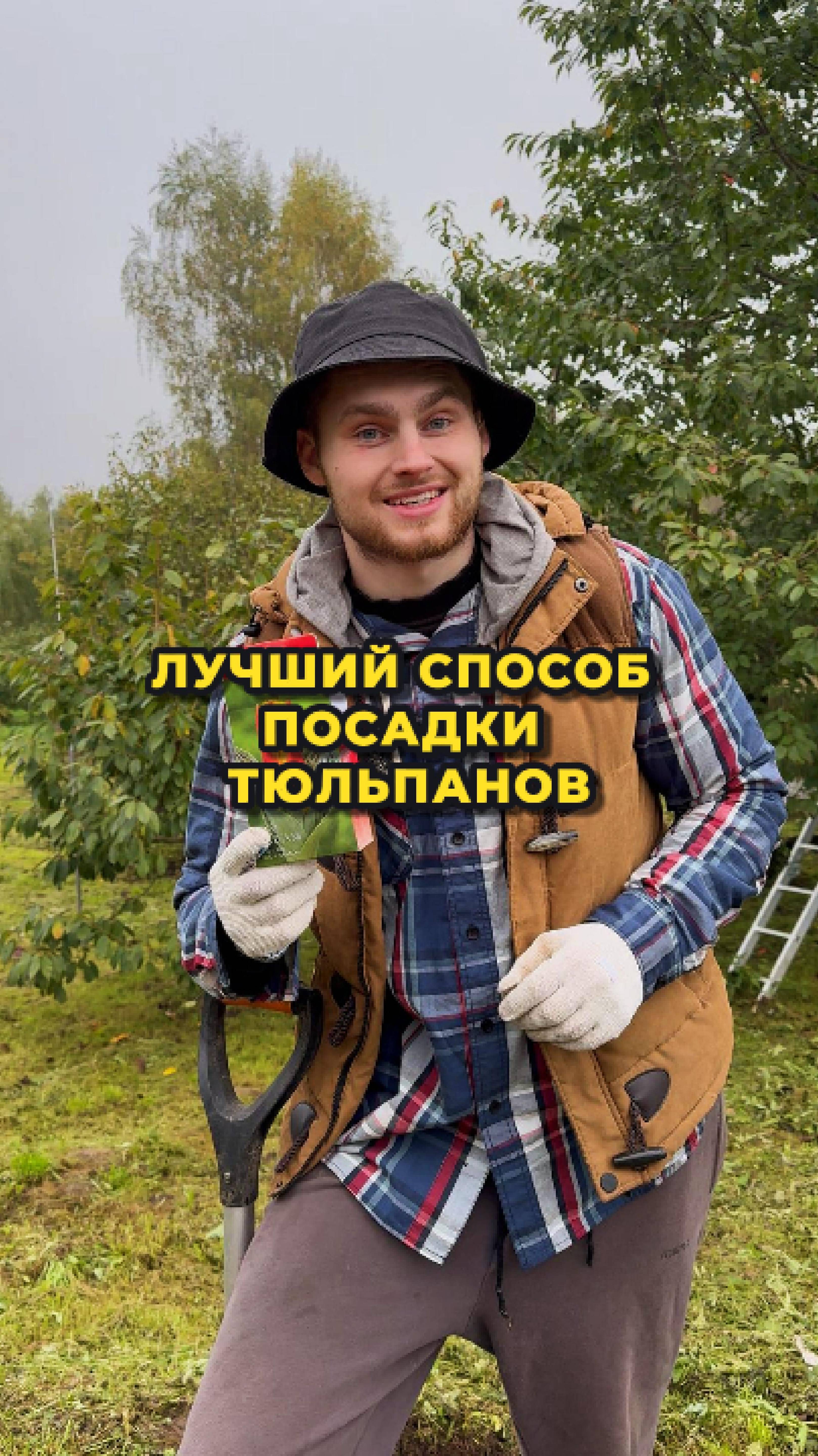 Октябрь - лучшее время для посадки тюльпанов