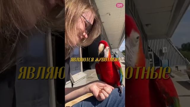 Будни артистов в 30 секундах