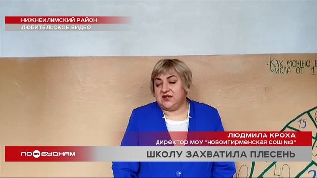 Одну из школ посёлка Новая Игирма захватила плесень