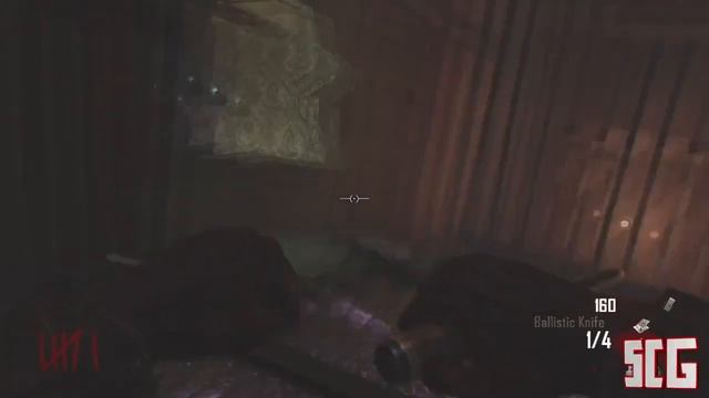 Black Ops 2 Glitches: All Zombies Spawn In One Window After Patch