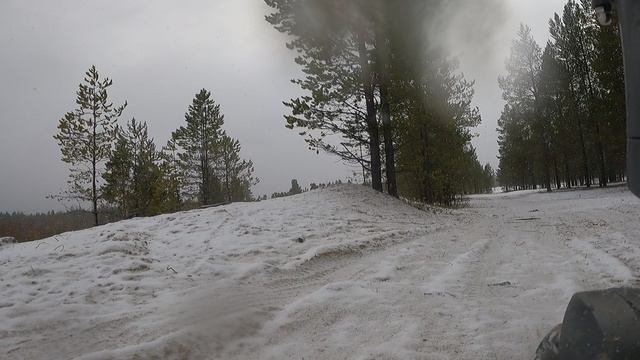 Покатушки на самокате по первому снегу