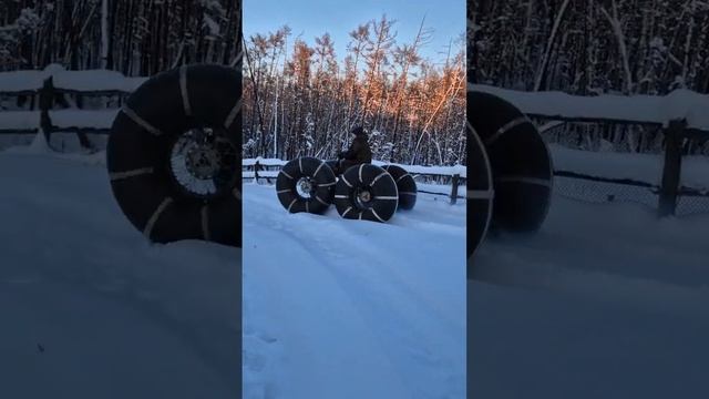 24 февраля 2024 г.