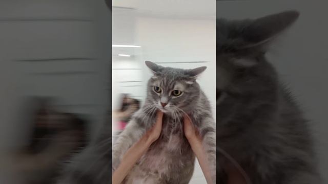 Ты моя целая вселенная!