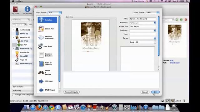 PDF to Epub in Calibre