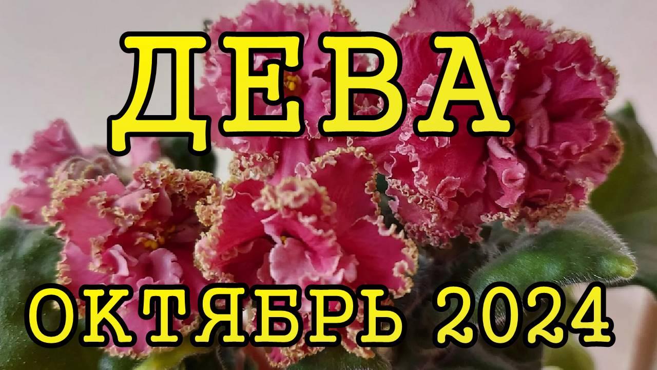 ДЕВА таро прогноз на ОКТЯБРЬ 2024 года.