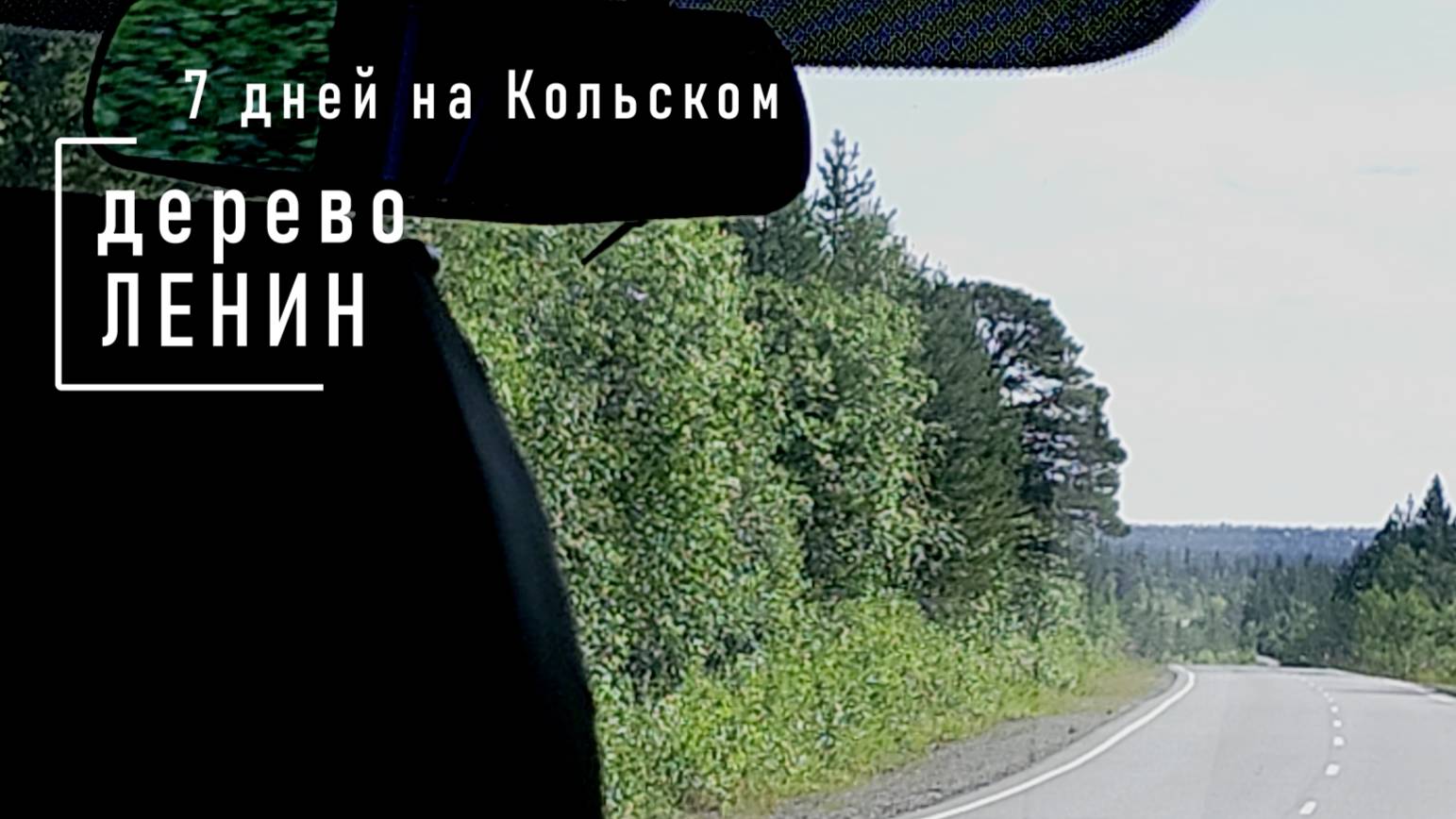 Дерево Ленин, природный памятник вождю на Кольском полуострове.