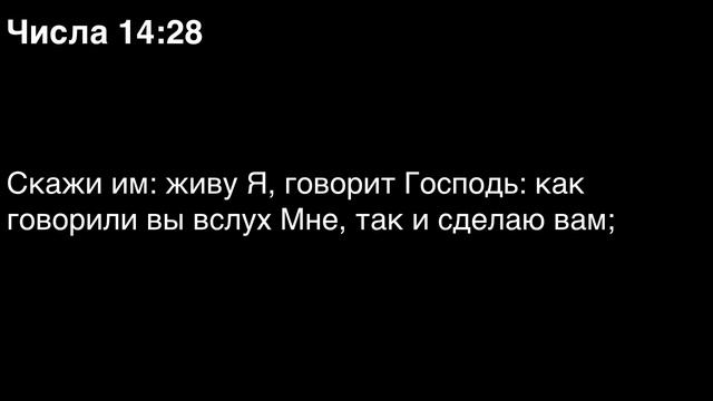 День 39. Библия за год. Книга числа. Главы 13-15.