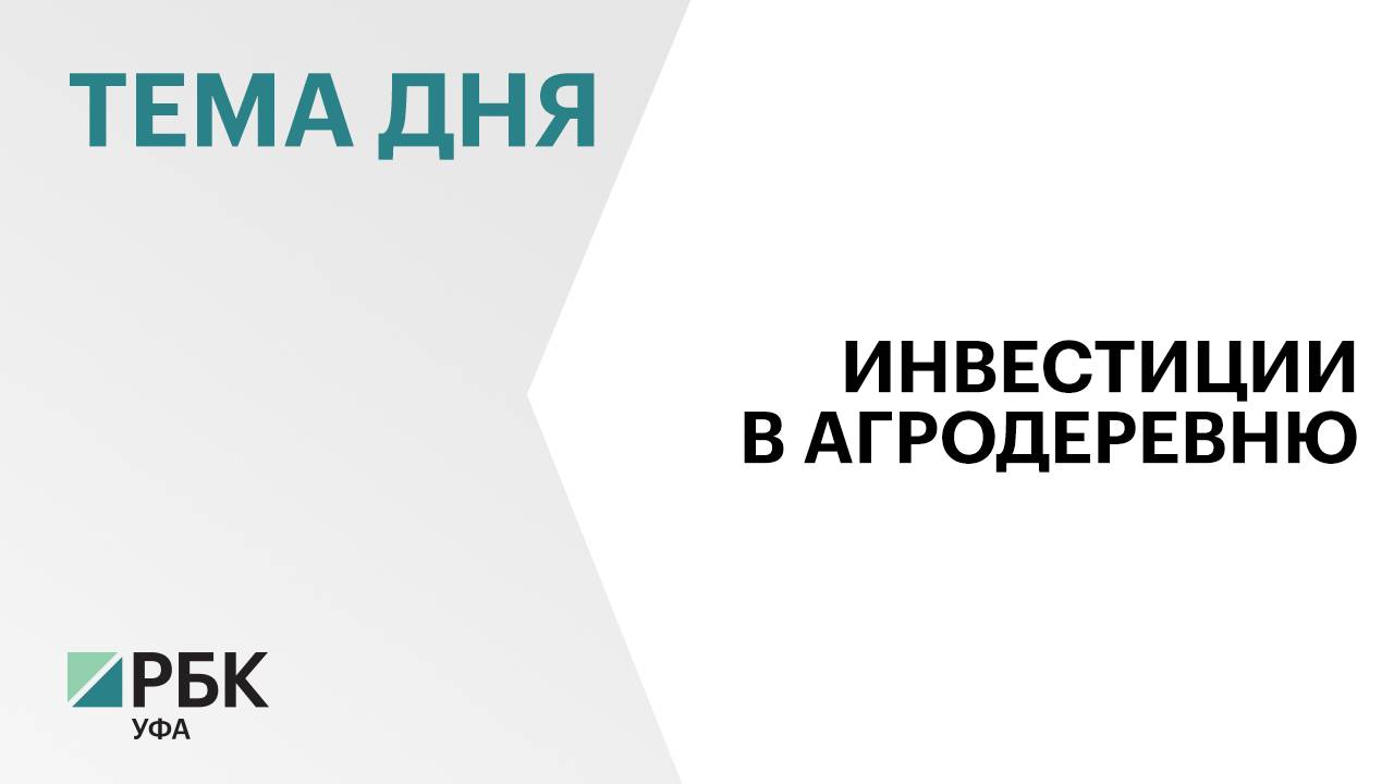 ₽850 млн вложений потребуется на первом этапе создания агродеревни в селе Еремеево в Чишминском р-не